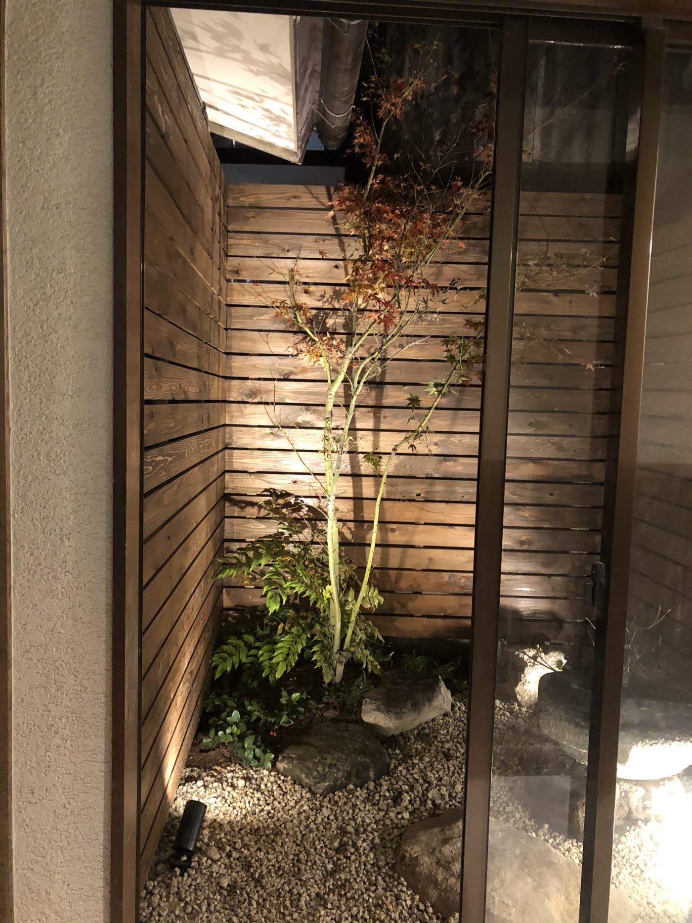 木塀と植栽を照明で照らした夜の坪庭